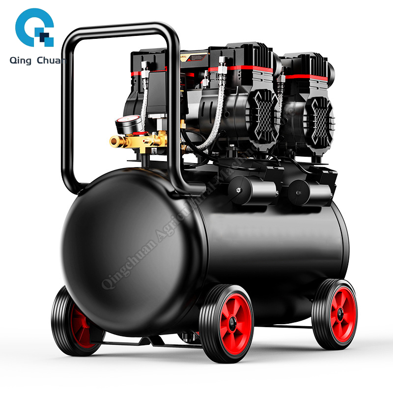 Air Compressor Small 220V 40L  - Air Compressor Mini review and price