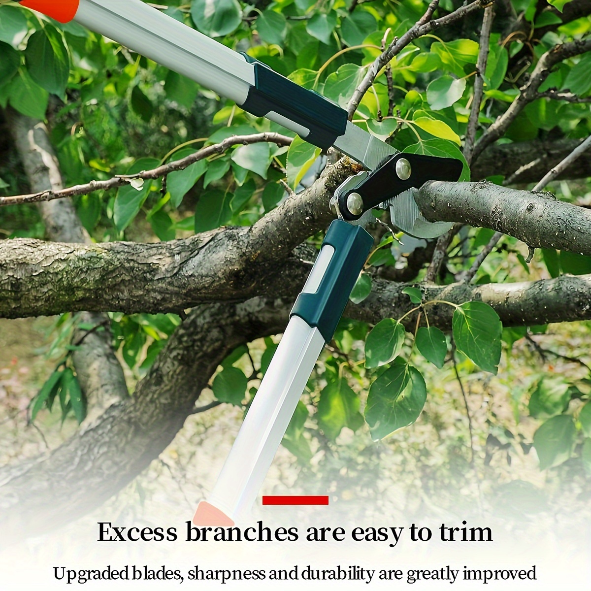 Pruning Shears Heavy Duty SK5  - Bag Power Tools review and price